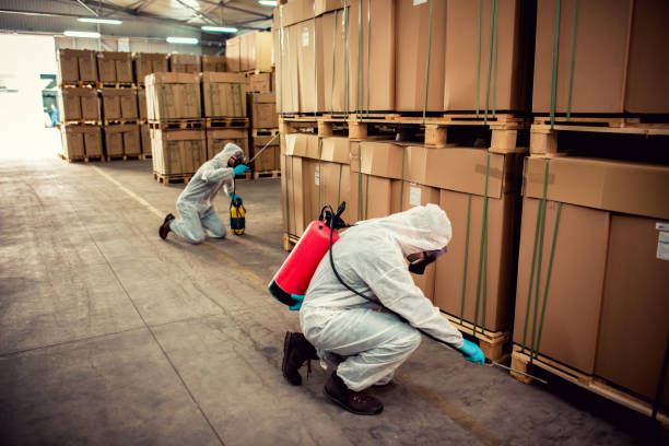 Best Pest Control for Businesses  in Madison, NC