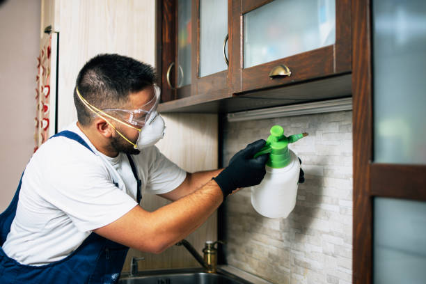 Best Rat Extermination Near Me  in Madison, NC
