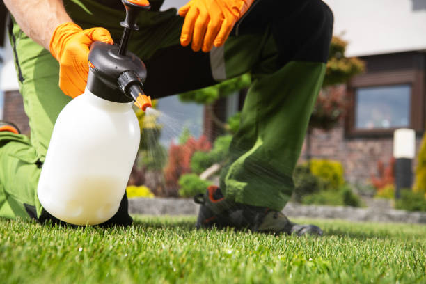 Best Residential Pest Control  in Madison, NC