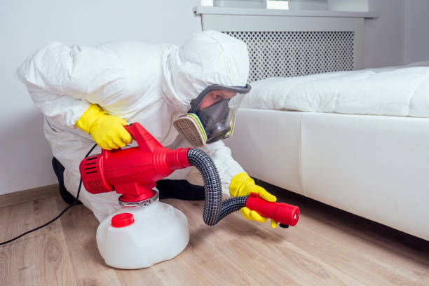 Best Rat Extermination Near Me  in Madison, NC