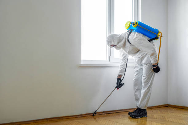 Best Affordable Pest Control Services  in Madison, NC