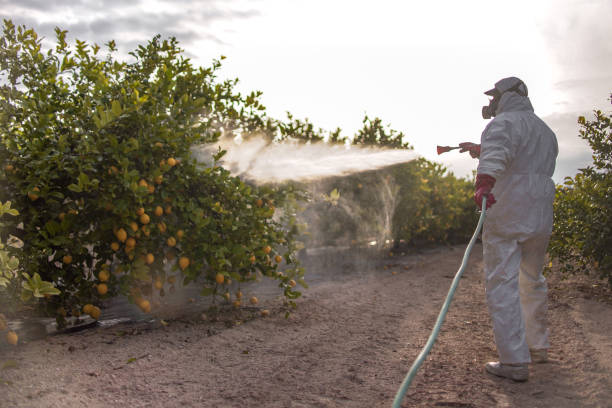 Best Affordable Pest Control Services  in Madison, NC