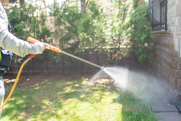 Best Mosquito Control Services  in Madison, NC